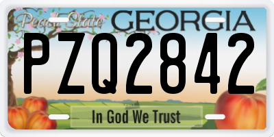 GA license plate PZQ2842