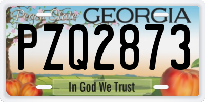 GA license plate PZQ2873