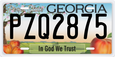GA license plate PZQ2875