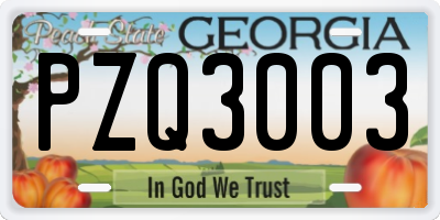 GA license plate PZQ3003