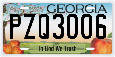 GA license plate PZQ3006