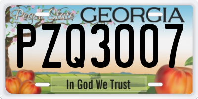 GA license plate PZQ3007
