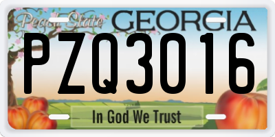 GA license plate PZQ3016