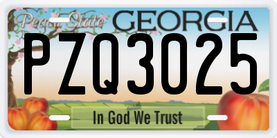 GA license plate PZQ3025
