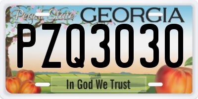 GA license plate PZQ3030