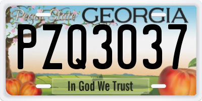 GA license plate PZQ3037