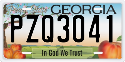 GA license plate PZQ3041