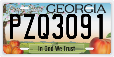 GA license plate PZQ3091