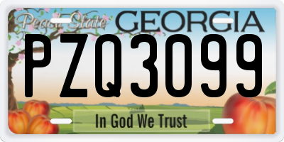 GA license plate PZQ3099