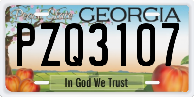 GA license plate PZQ3107