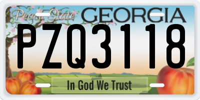GA license plate PZQ3118