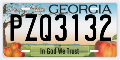 GA license plate PZQ3132