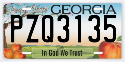 GA license plate PZQ3135