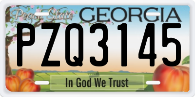 GA license plate PZQ3145