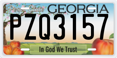 GA license plate PZQ3157