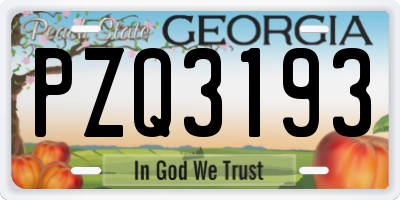 GA license plate PZQ3193