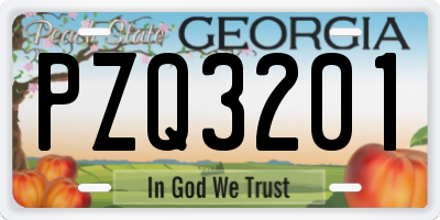 GA license plate PZQ3201