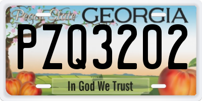 GA license plate PZQ3202