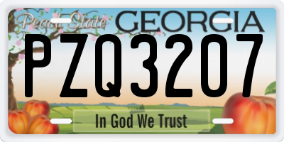 GA license plate PZQ3207