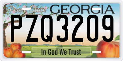 GA license plate PZQ3209
