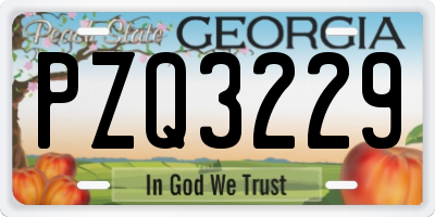GA license plate PZQ3229