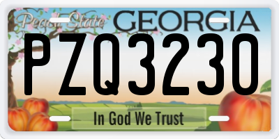 GA license plate PZQ3230