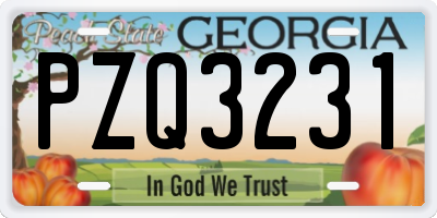 GA license plate PZQ3231