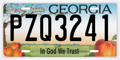 GA license plate PZQ3241