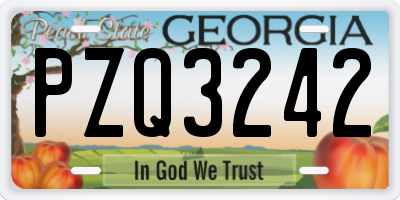GA license plate PZQ3242