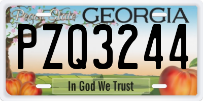 GA license plate PZQ3244