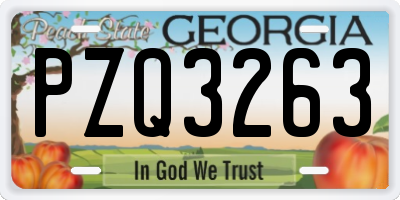 GA license plate PZQ3263