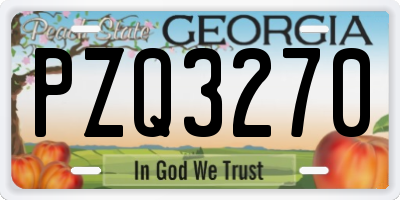 GA license plate PZQ3270