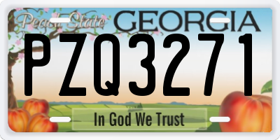 GA license plate PZQ3271