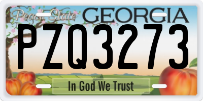 GA license plate PZQ3273