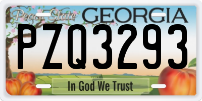 GA license plate PZQ3293