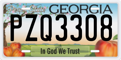 GA license plate PZQ3308