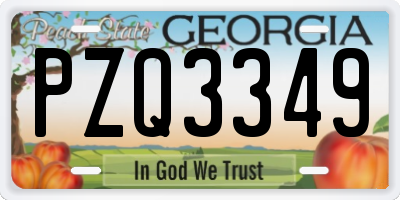 GA license plate PZQ3349