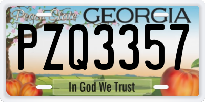 GA license plate PZQ3357