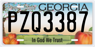 GA license plate PZQ3387