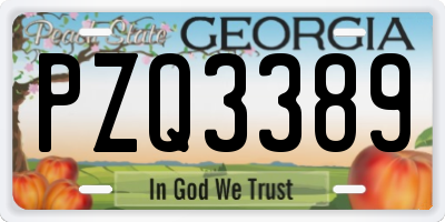 GA license plate PZQ3389