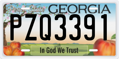 GA license plate PZQ3391