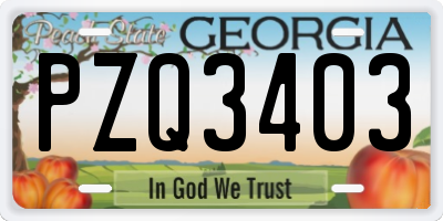 GA license plate PZQ3403