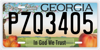 GA license plate PZQ3405