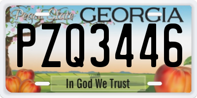 GA license plate PZQ3446