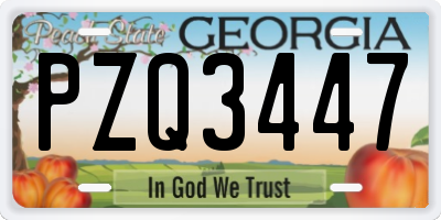 GA license plate PZQ3447