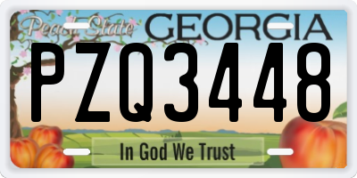 GA license plate PZQ3448