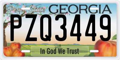 GA license plate PZQ3449