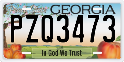 GA license plate PZQ3473