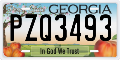 GA license plate PZQ3493