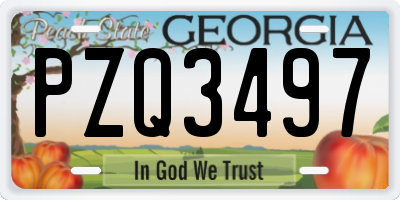 GA license plate PZQ3497